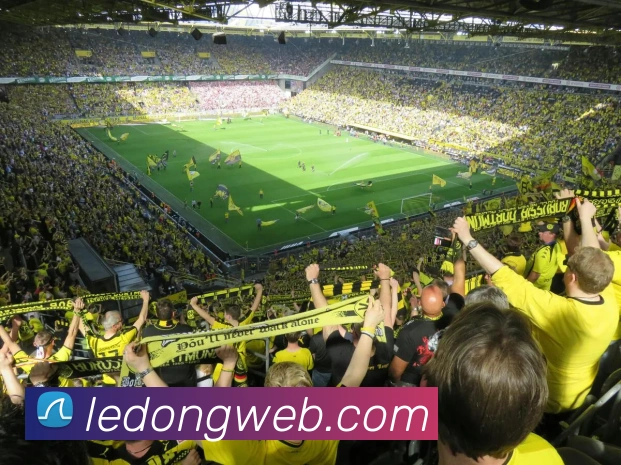 乐动体育APP 高清赛事图